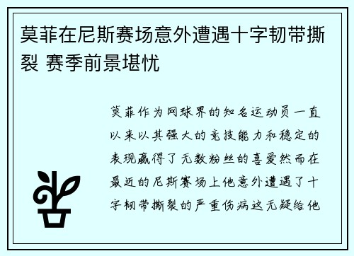 莫菲在尼斯赛场意外遭遇十字韧带撕裂 赛季前景堪忧 莫菲在尼斯赛场意外遭遇十字韧带撕裂 赛季前景堪忧